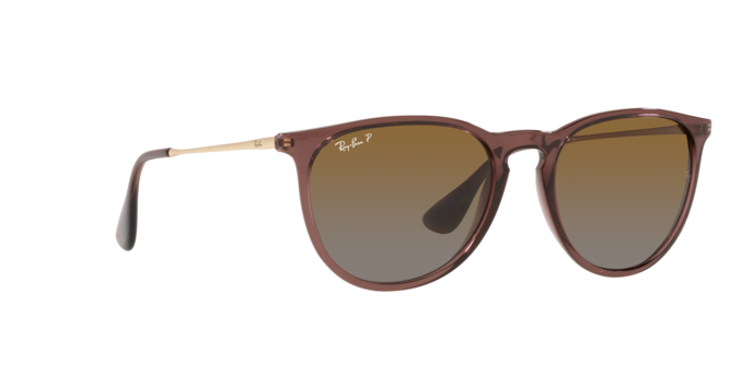 Ray-Ban | RB4171 Erika | Transparent Brown Polarised