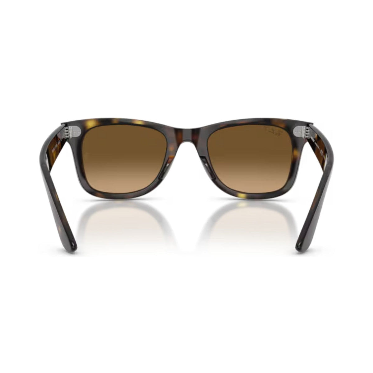 Ray-Ban | RB4340 Wayfarer | Havana Brown Gradient Polarised