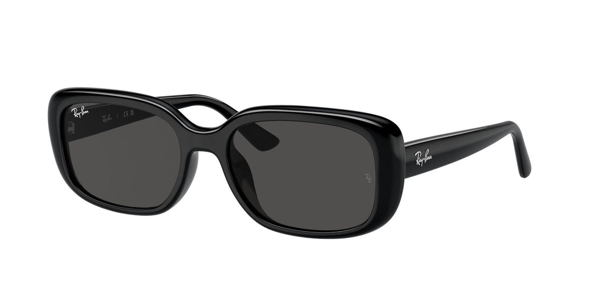 Ray-Ban | RB4421D | Black Grey