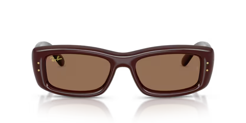 Ray-Ban | RB4944 | Transparent Dark Brown