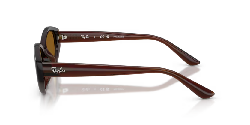 Ray-Ban | RB4473D | Dark Brown Polarised