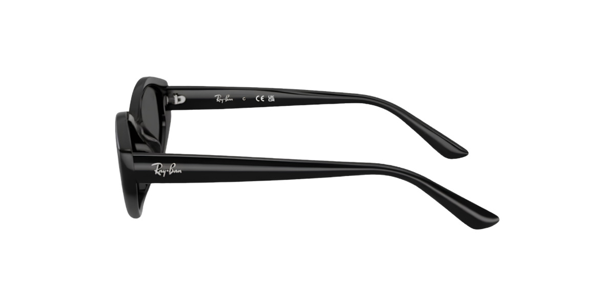 Ray-Ban | RB4473D | Black Dark Grey