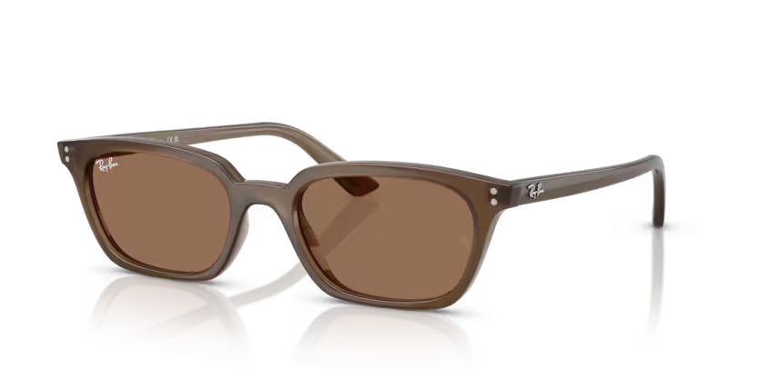 Ray-Ban | RB4456 Zaya | Transparent Brown