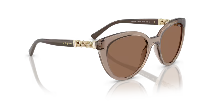 Vogue Eyewear | VO5634SB | Transparent Brown Dark Brown