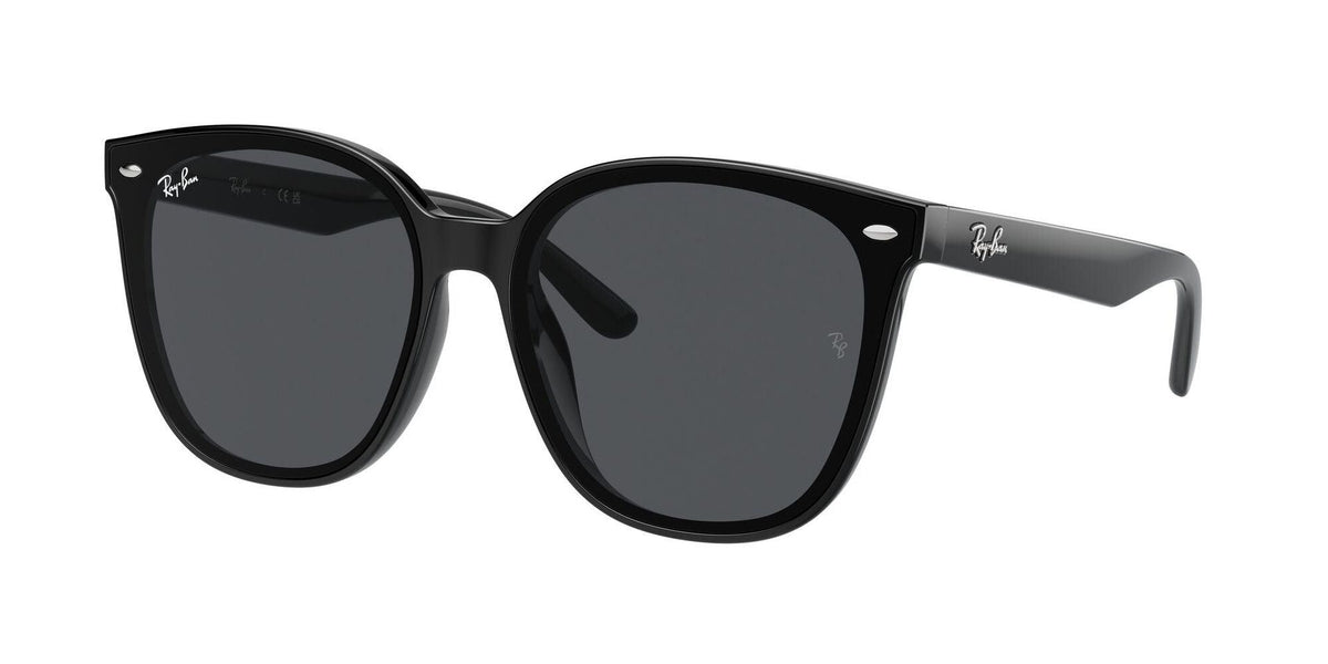 Ray-Ban | RB4423D | Black Grey