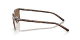 Arnette | AN3094 Hampere | Brushed Gunmetal Brown