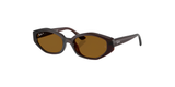 Ray-Ban | RB4473D | Dark Brown Polarised