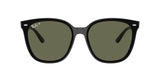 Ray-Ban | RB4423D | Black Dark Green Polarised