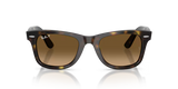 Ray-Ban | RB4340 Wayfarer | Havana Brown Gradient Polarised