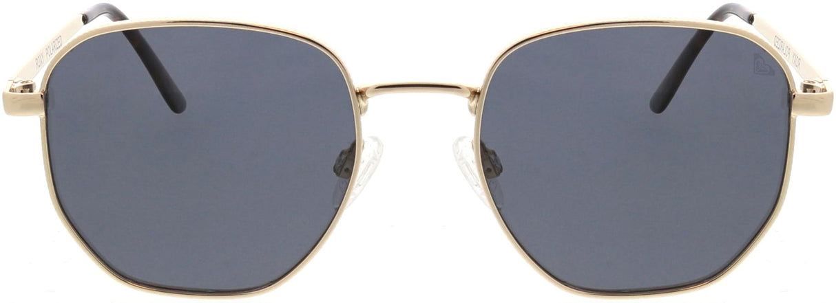 Roxy | RS2004P Sun Kissed | Gold Smoke Polarised