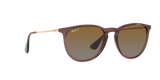 Ray-Ban | RB4171 Erika | Transparent Brown Polarised
