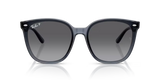 Ray-Ban | RB4423D | Dark Transparent Polarised