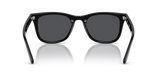 Ray-Ban | RB4420 | Black Dark Grey