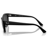 Ray-Ban | RB4428F | Black Polarised