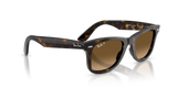 Ray-Ban | RB4340 Wayfarer | Havana Brown Gradient Polarised