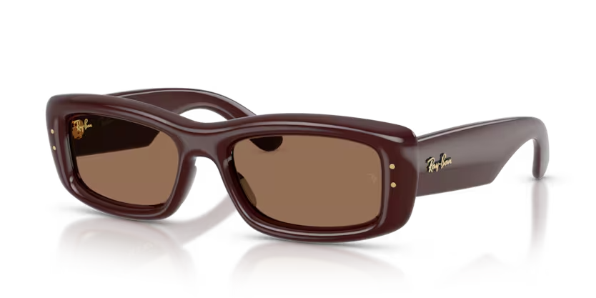 Ray-Ban | RB4944 | Transparent Dark Brown