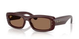 Ray-Ban | RB4944 | Transparent Dark Brown