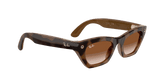 Ray-Ban Meta G3 | RW4015 Zena | Havana Gradient Brown