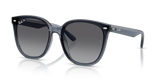 Ray-Ban | RB4423D | Dark Transparent Polarised