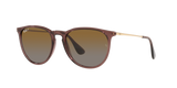 Ray-Ban | RB4171 Erika | Transparent Brown Polarised