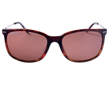 Spotters | Bella | Tortoise Halide Polarised