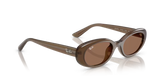Ray-Ban | RB4441D | Opal Brown Dark Brown