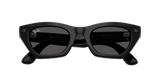Ray-Ban Meta G3 | RW4015 Zena | Shiny Black Grey