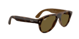 Ray-Ban Meta G3 | RW4016 Aviator | Havana B15