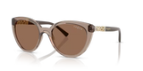 Vogue Eyewear | VO5634SB | Transparent Brown Dark Brown