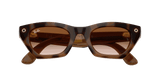 Ray-Ban Meta G3 | RW4015 Zena | Havana Gradient Brown