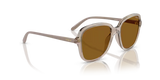 Vogue Eyewear | VO5601S | Transparent Caramel Polarised
