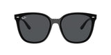 Ray-Ban | RB4423D | Black Grey