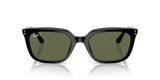 Ray-Ban | RB4439D | Black Green Polarised