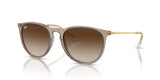 Ray-Ban | RB4171 Erika | Transparent Light Brown Gradient Brown