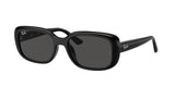 Ray-Ban | RB4421D | Black Grey
