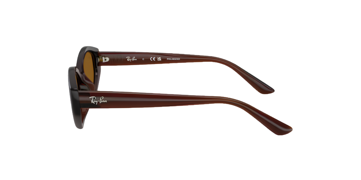 Ray-Ban | RB4473D | Dark Brown Polarised