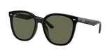 Ray-Ban | RB4423D | Black Dark Green Polarised