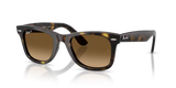Ray-Ban | RB4340 Wayfarer | Havana Brown Gradient Polarised