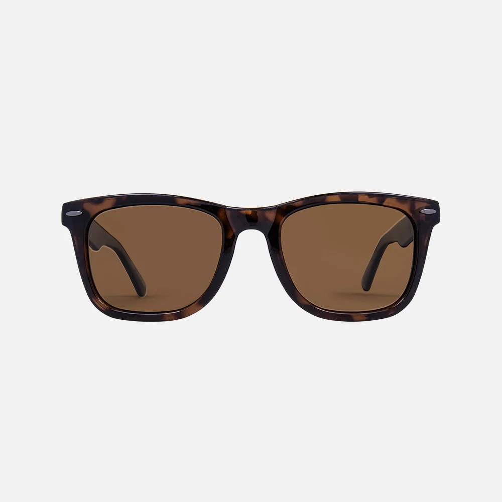 Carve | 1453 Wow Vision | Tort Brown Polarised