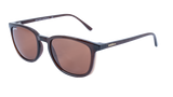 Spotters | Sage | Gloss Brown Halide Polarised
