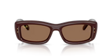 Ray-Ban | RB4944 | Transparent Dark Brown