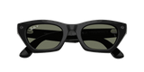 Ray-Ban Meta G3 | RW4015 Zena | Shiny Black G15 Green Polarised