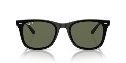 Ray-Ban | RB4420 | Black Dark Green Polarised