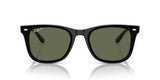 Ray-Ban | RB4420 | Black Dark Green Polarised