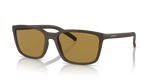 Arnette | AN4311 | Matte Brown Polarised