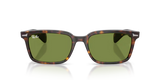 Ray-Ban | RB2234 Brunel L | Havana Green