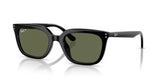Ray-Ban | RB4439D | Black Green Polarised