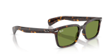 Ray-Ban | RB2234 Brunel L | Havana Green