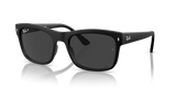 Ray-Ban | RB4428F | Black Polarised