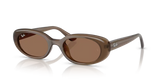 Ray-Ban | RB4441D | Opal Brown Dark Brown